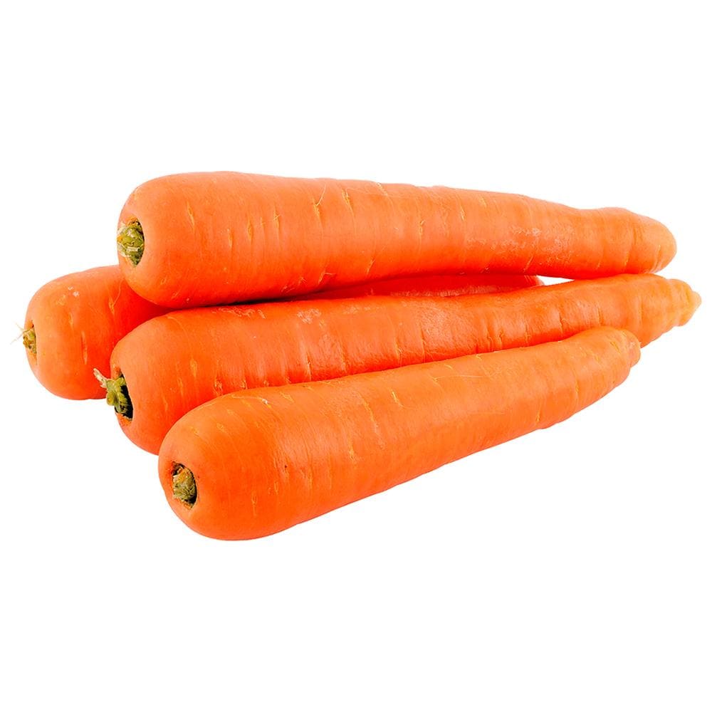 Carrot - Orange